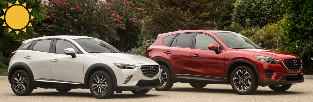 Perfect road trip vehicle