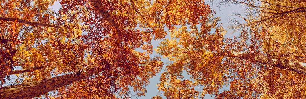 Top 3 Fall Destinations Around Portsmouth NH_b