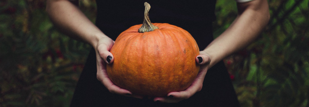 Best Pumpkin Patches Around Portsmouth NH_p