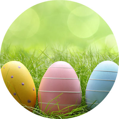 Easter eggs in grass