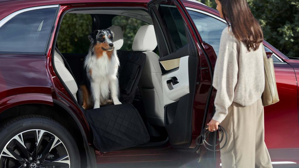 A dog sitting in the Mazda Cx-90