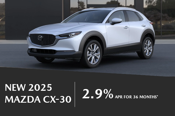 CX-30 Special