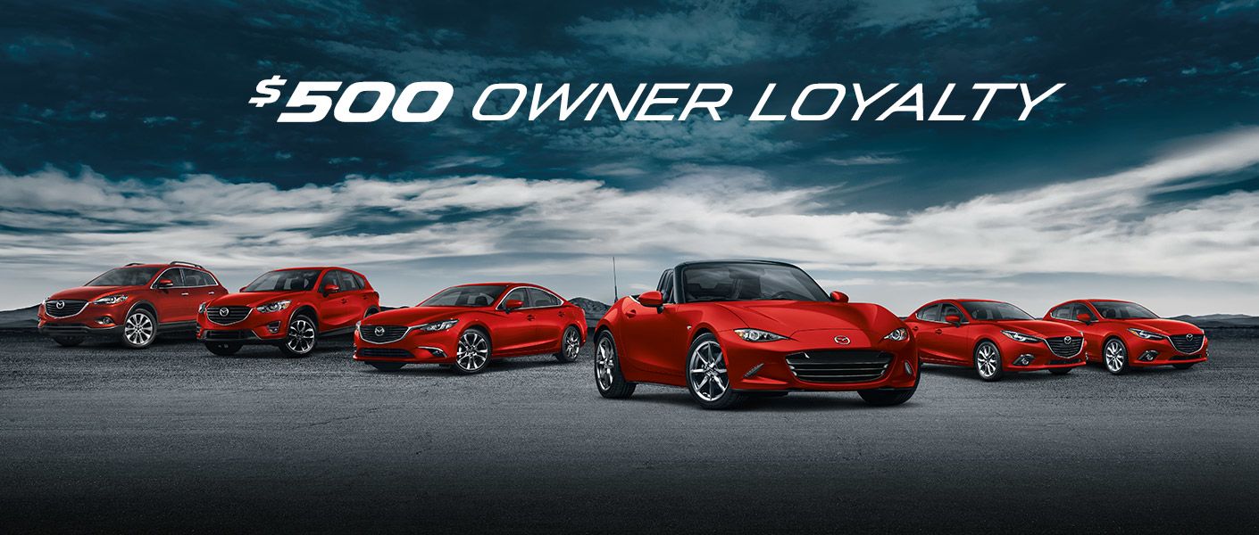 OWNER LOYALTY = $500
