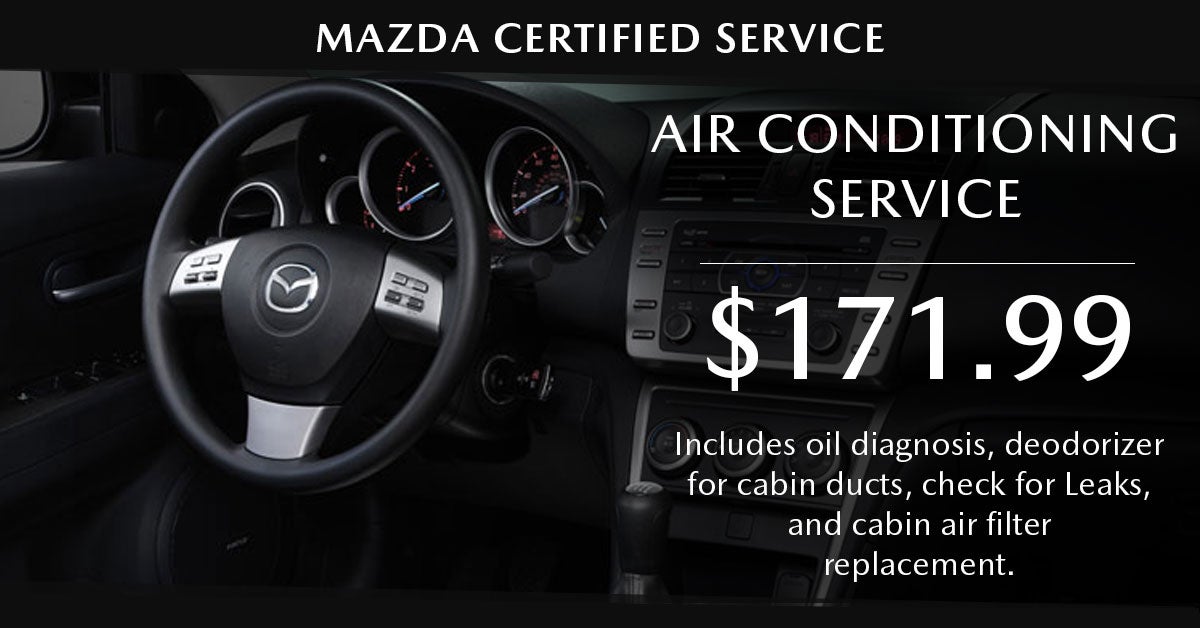 Air Conditioning Service $171.99