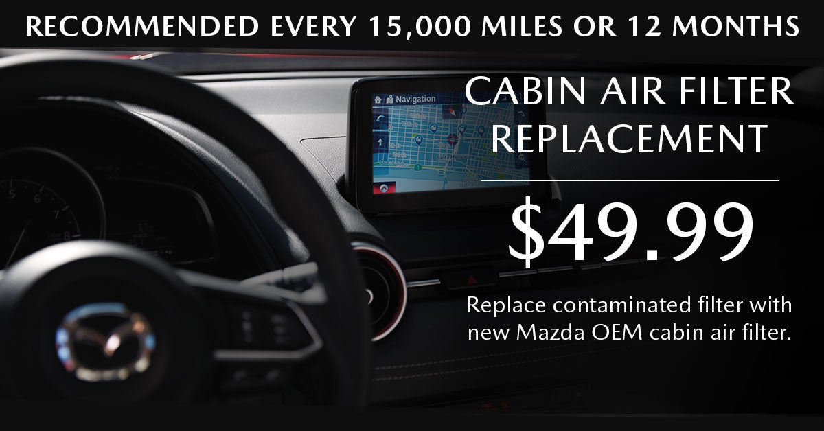 Cabin Air FIlter Replacement Service